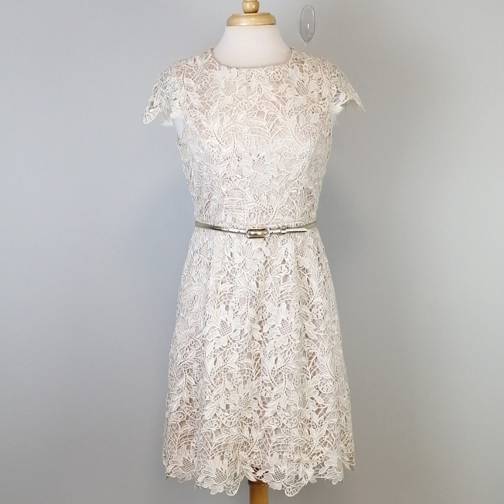 Eliza J Belted Lace Fit and Flare Dress Size 8